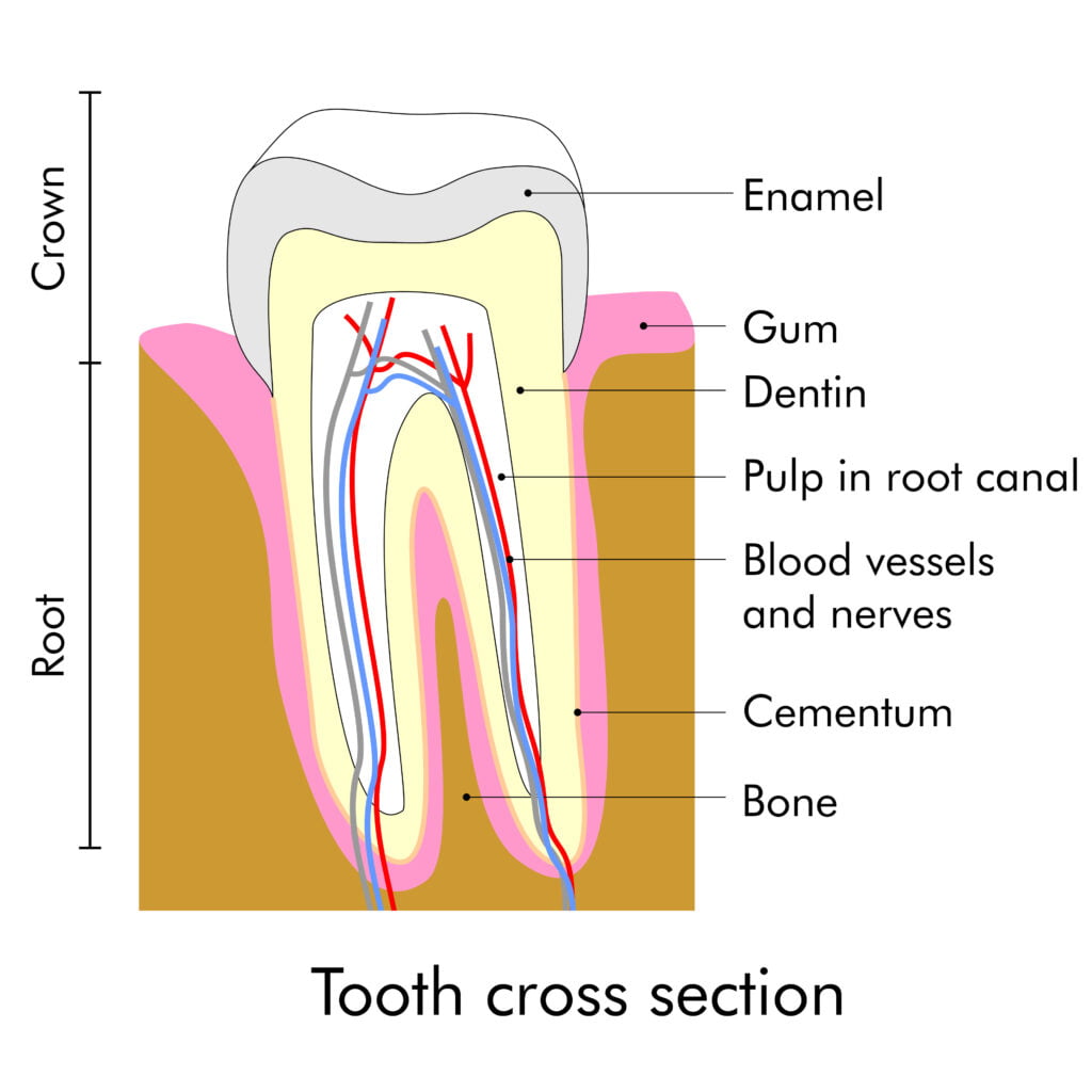 gum-disease-treatment-yuba-city-dentistry-group