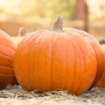 Pumpkin flavored drinks and foods tend to contain lots of sugar, leading to tooth decay.