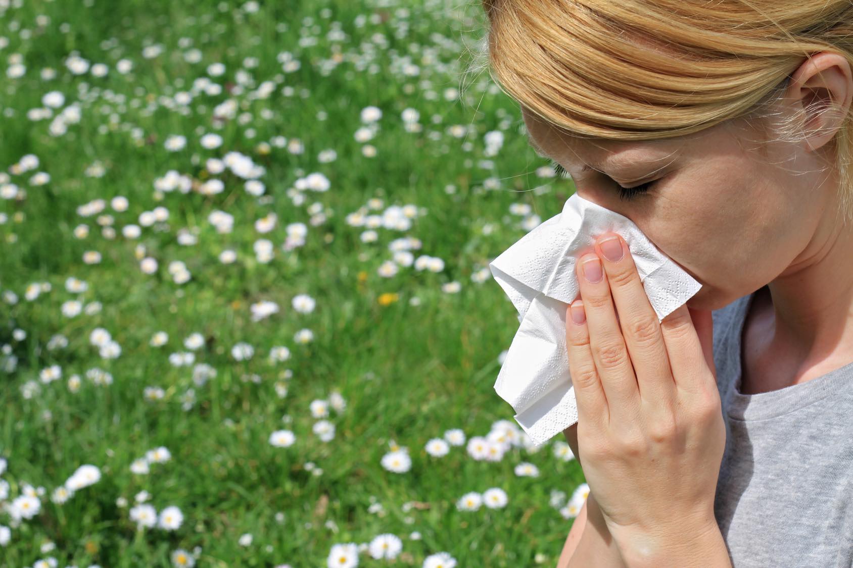 Alergia primaveral remedios naturales