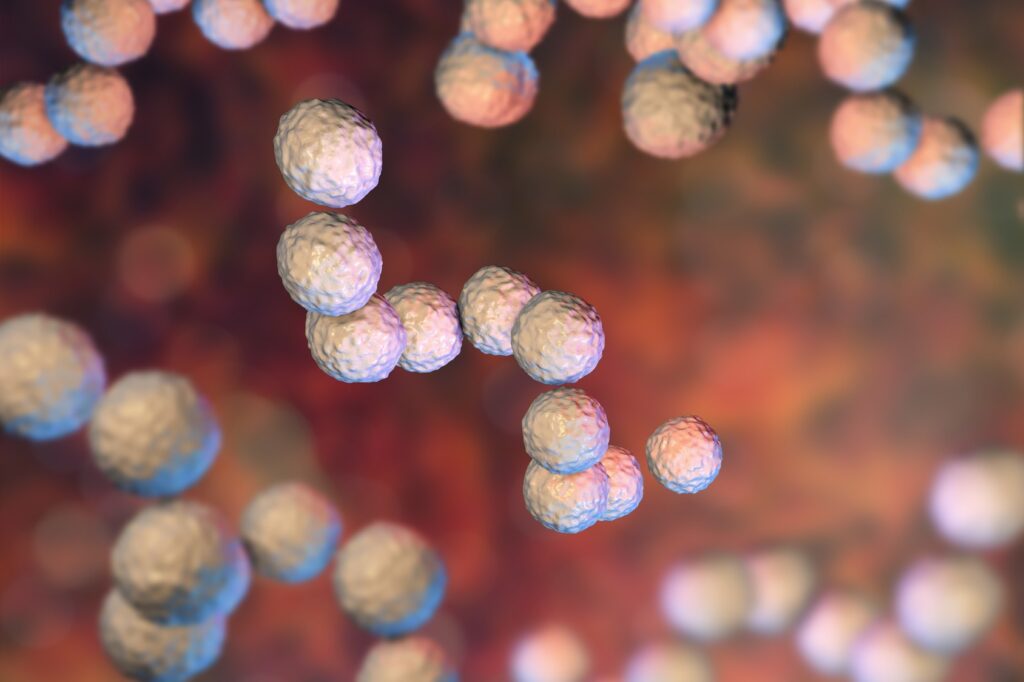 Probiotics to Prevent Toothache