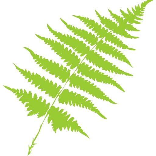 Yuba City Dentistry Group logo